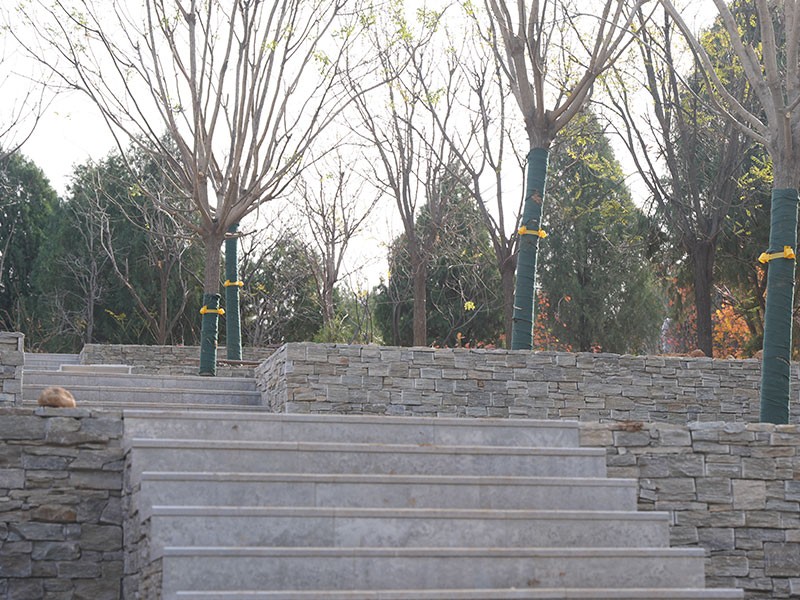 善馨园·多子山生命文化园