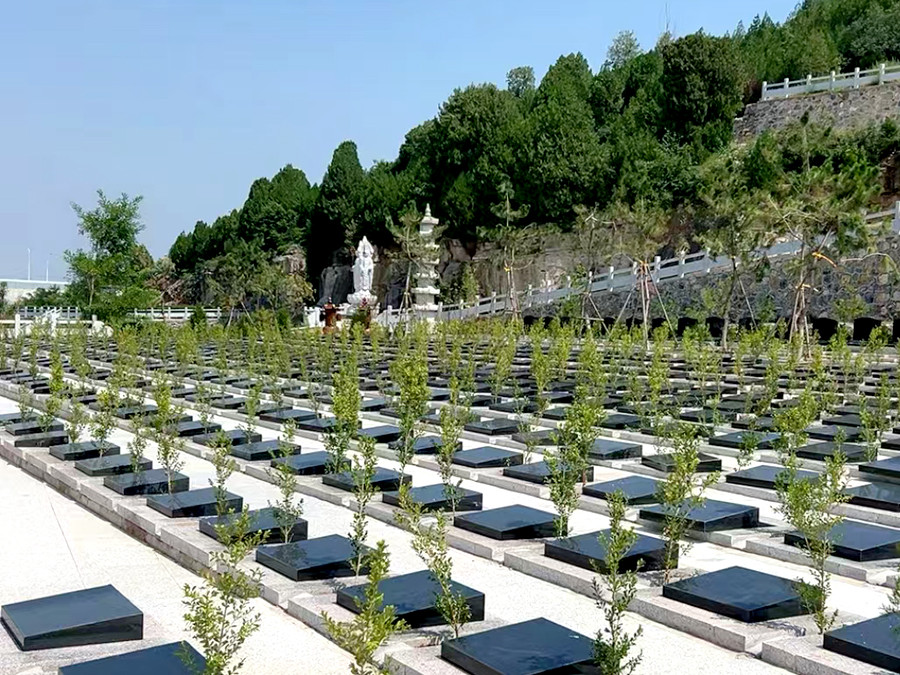 青龙山公墓