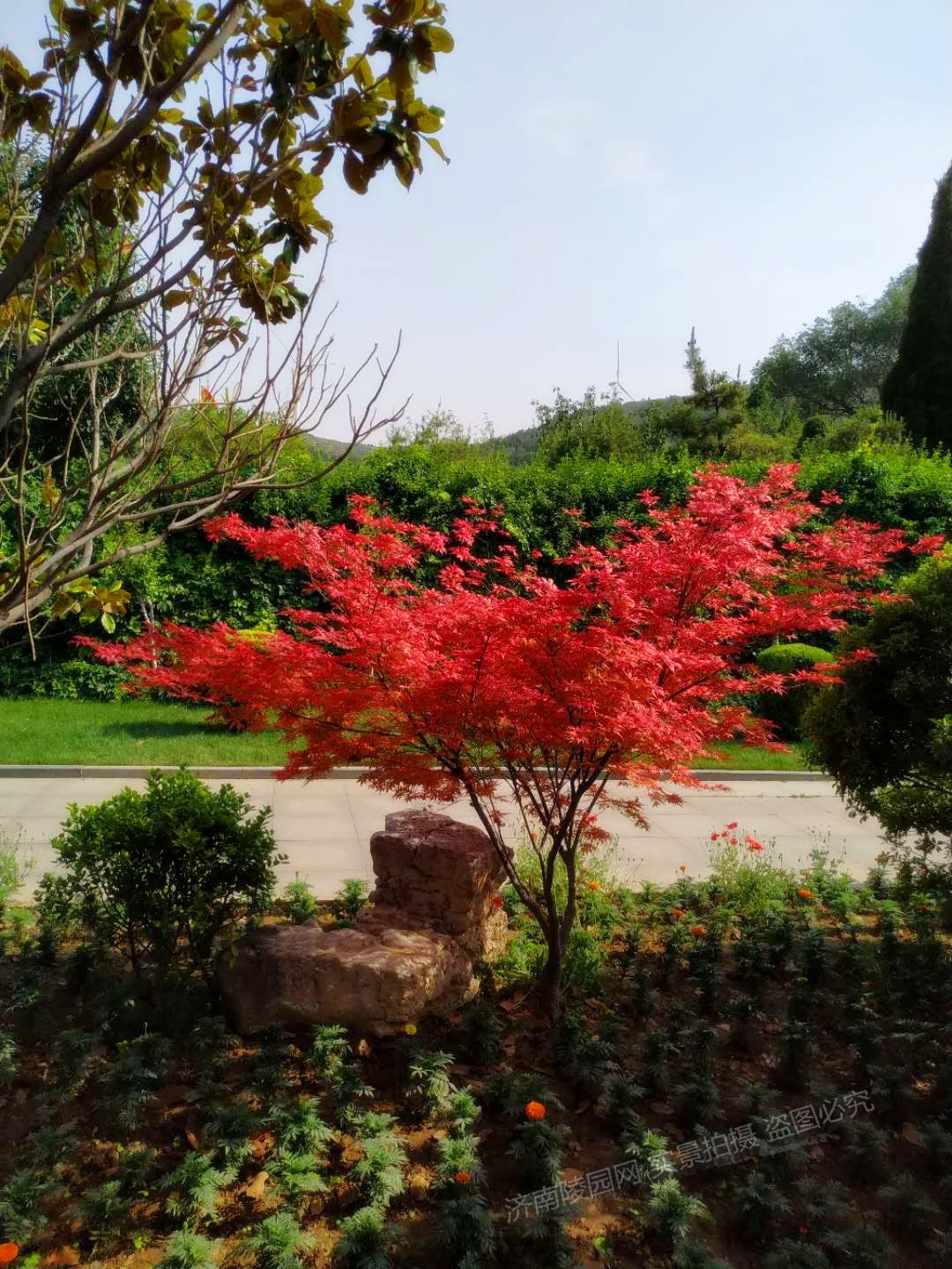 微信图片_20190603231346.jpg