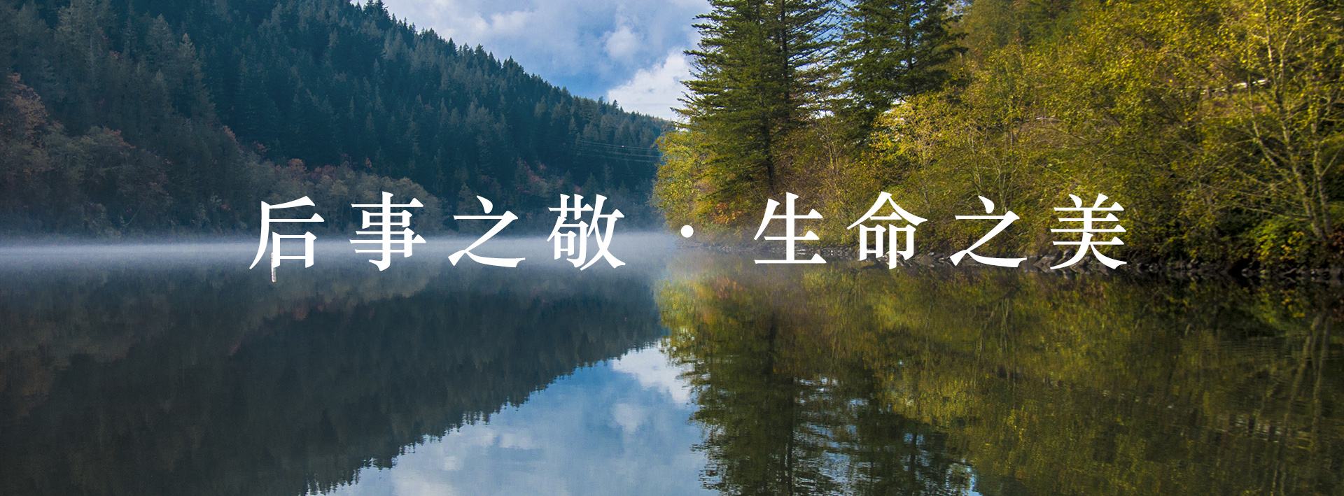 济南一条龙.jpg