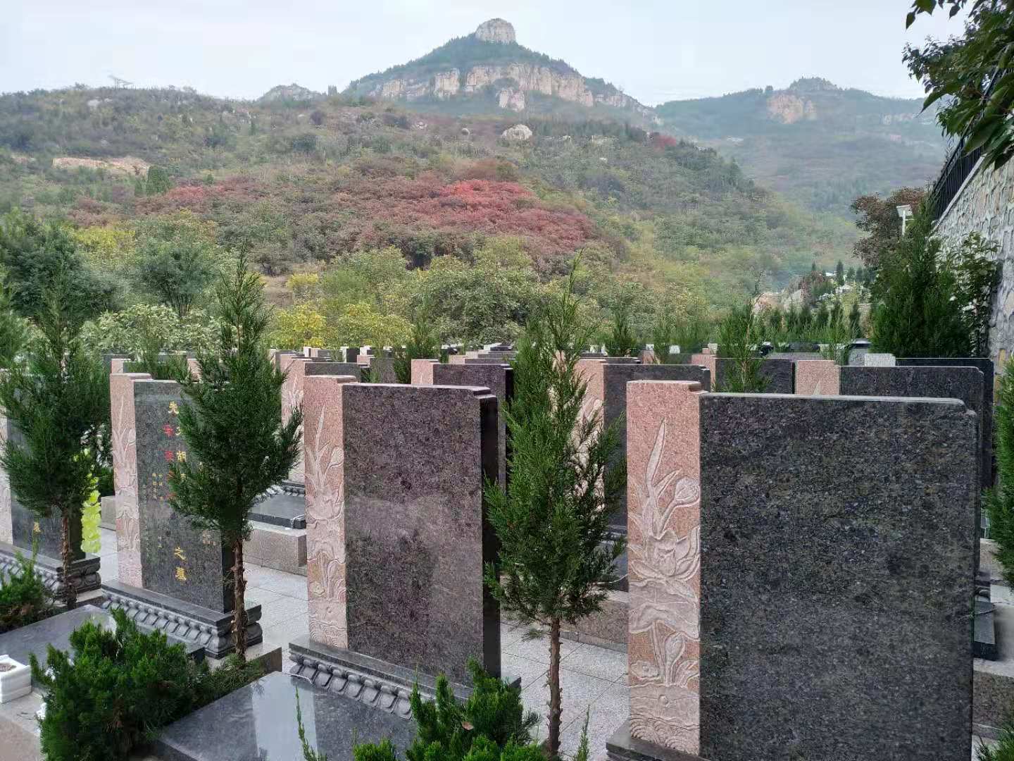 微信图片_20191110095351.jpg