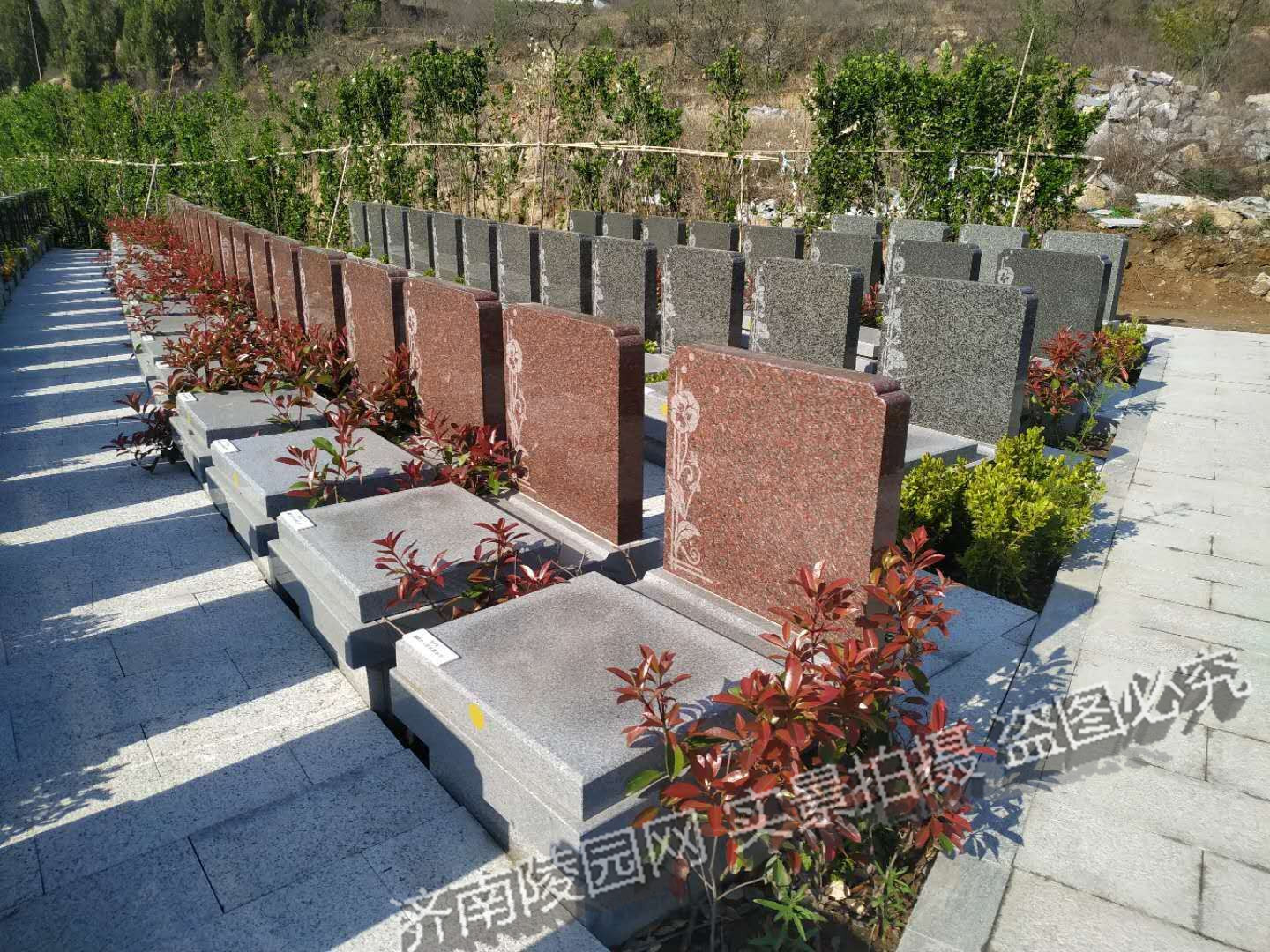 慈航园.jpg