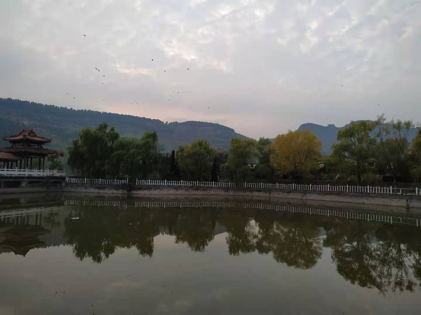 济南陵园网迁坟