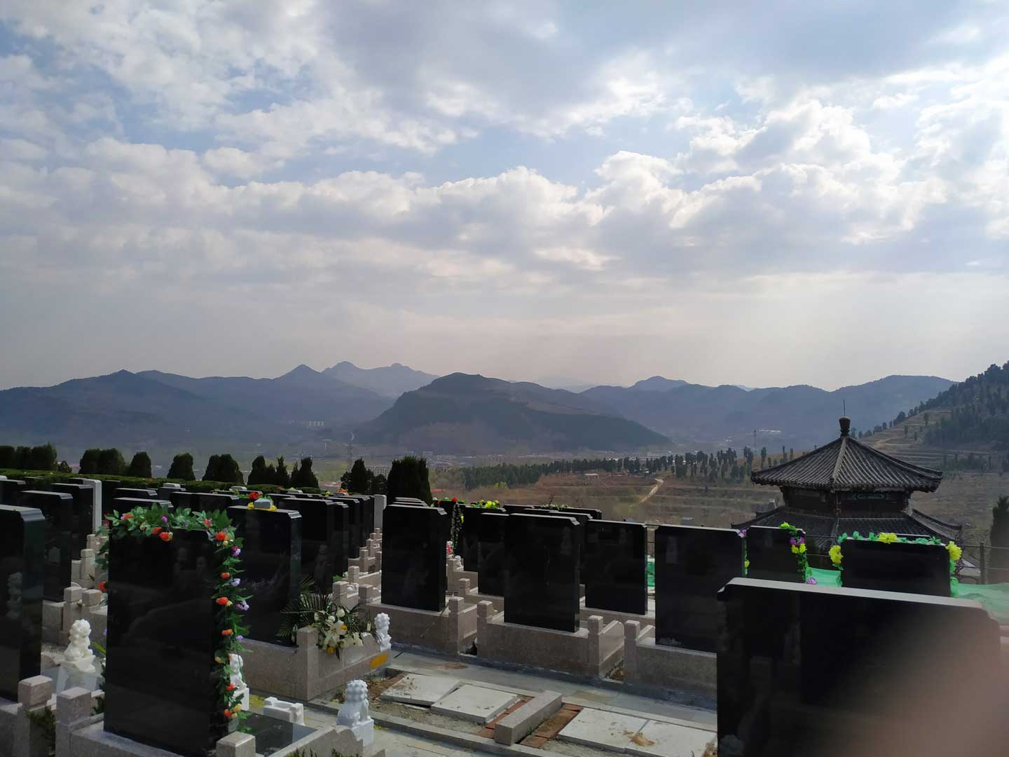 济南陵园网迁坟