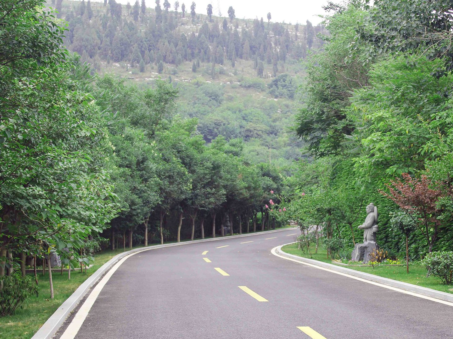 山东福寿园公路
