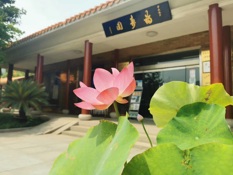 山东福寿园