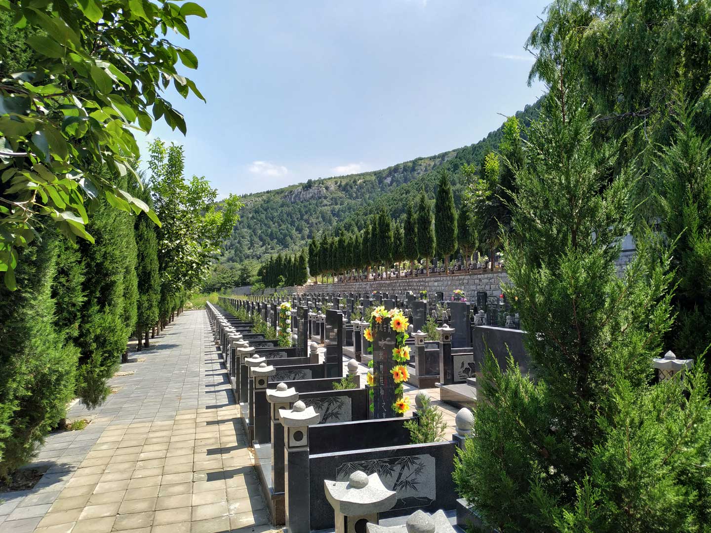 在济南墓地祭扫，送什么花