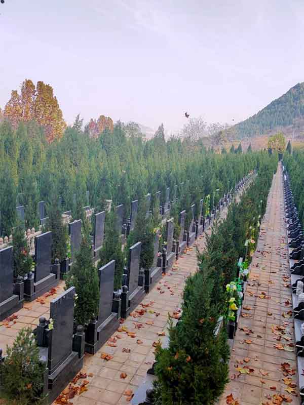 九顶山陵园墓区