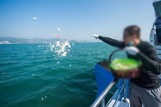 骨灰海撒