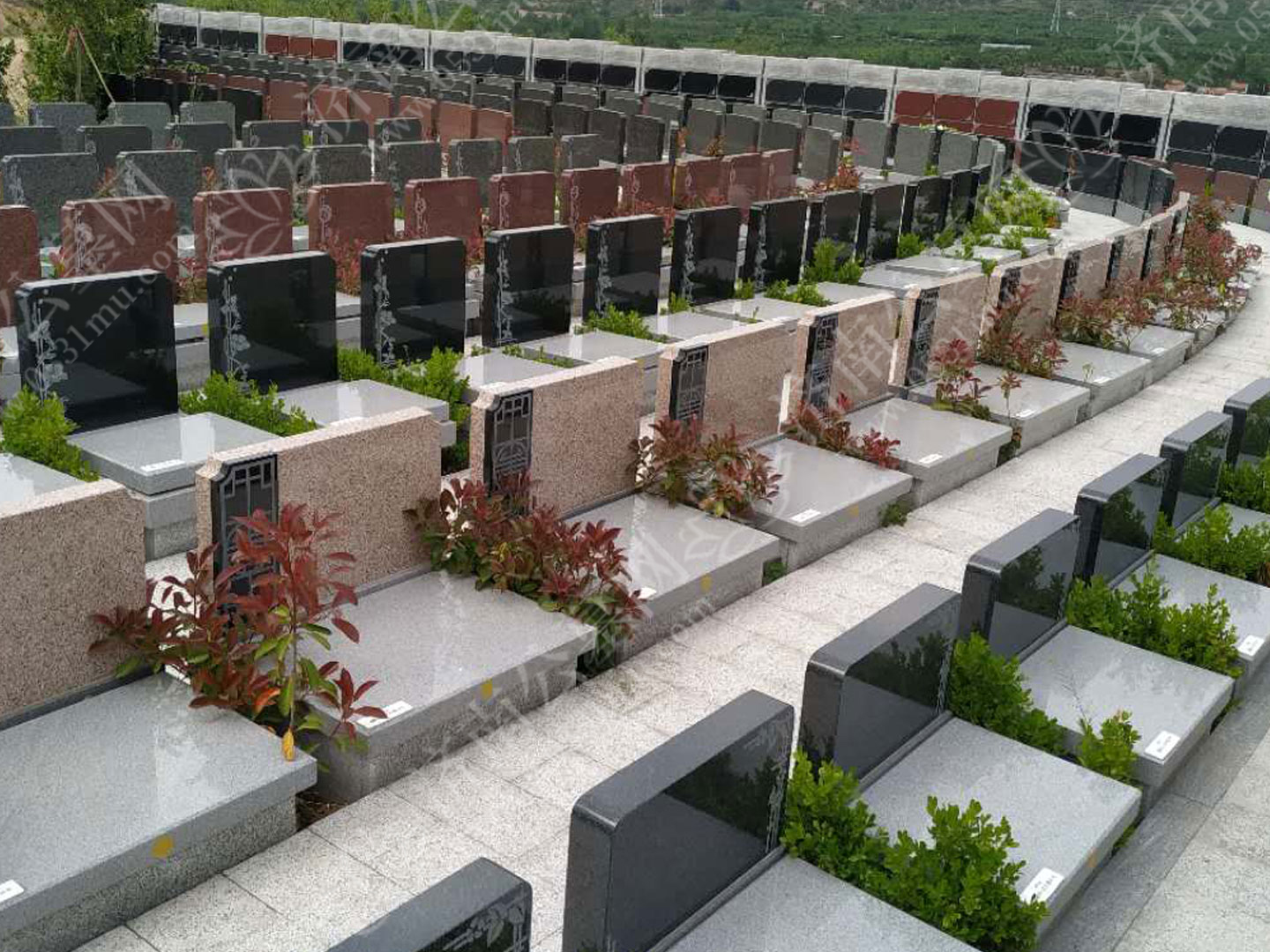 在有限的预算下选择墓地