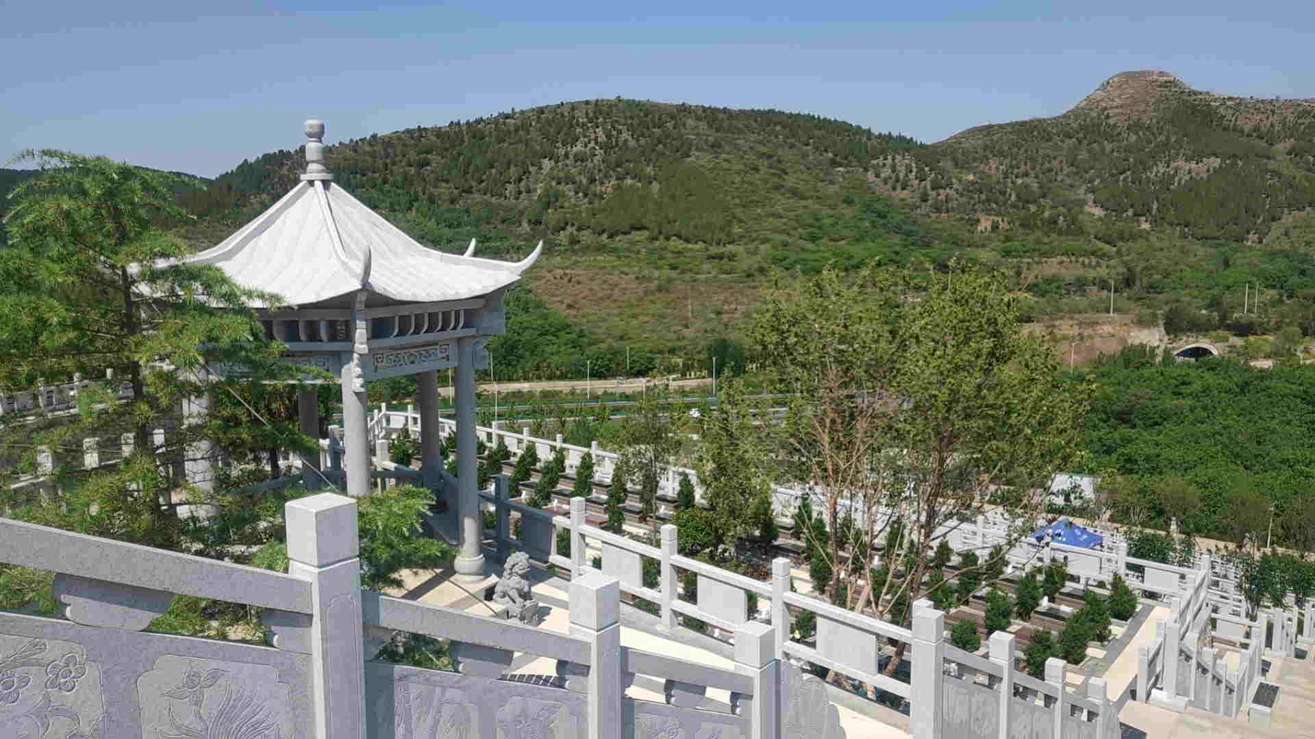 官山陵园树葬