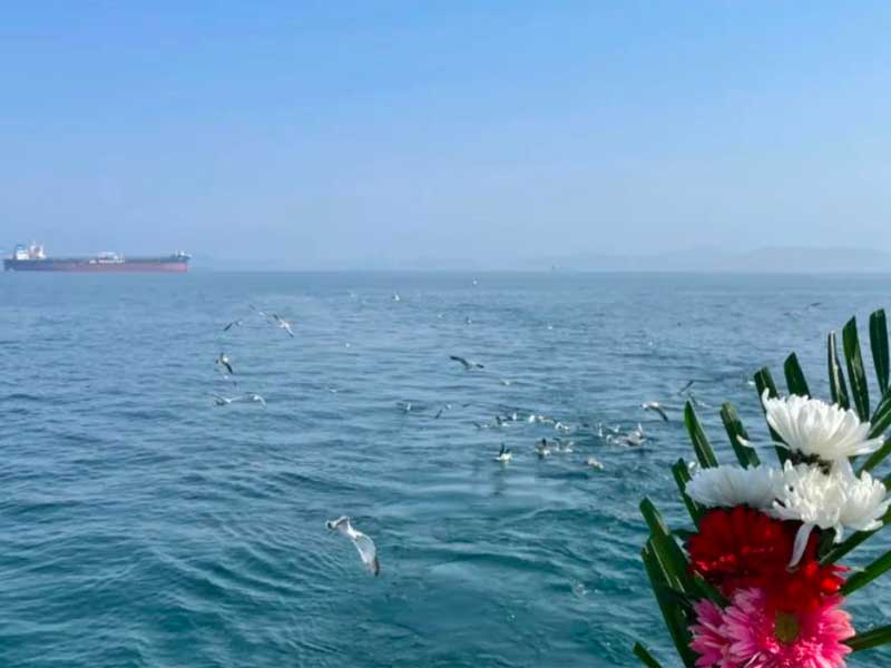 环保海葬