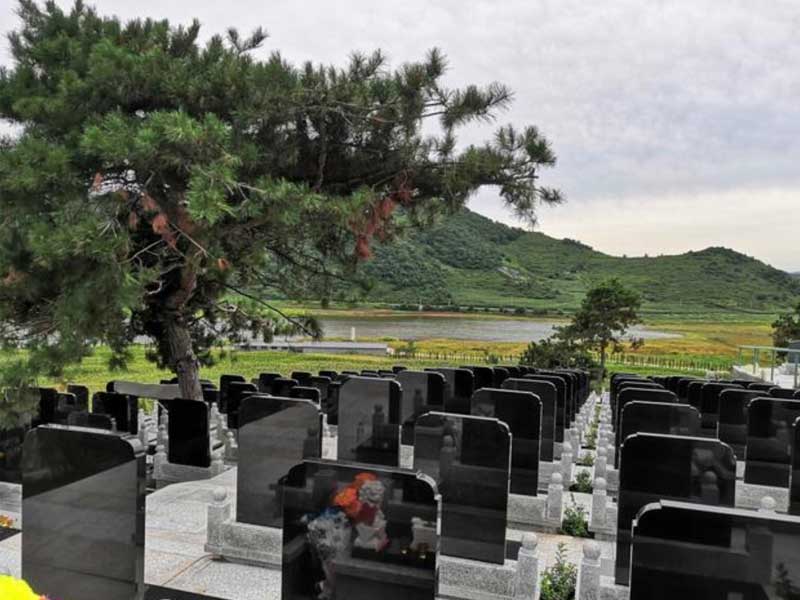 处理济南陵园公墓无人续费无人祭扫的墓地