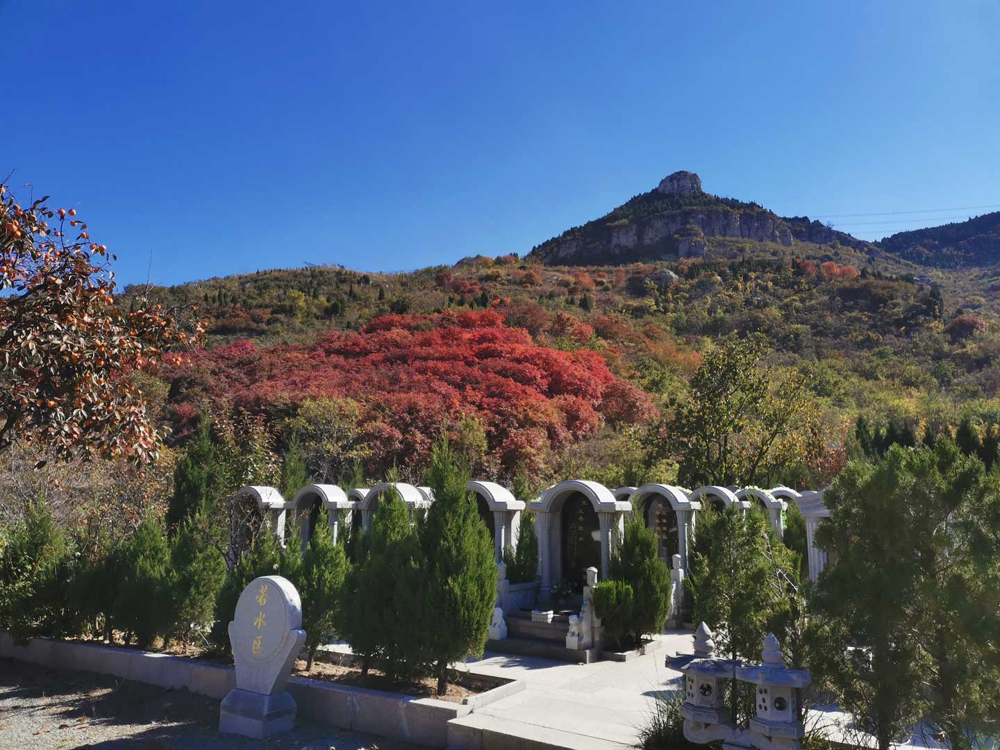 太甲山生态陵园