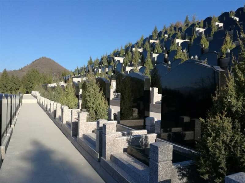 为家人选择墓地的要求是什么