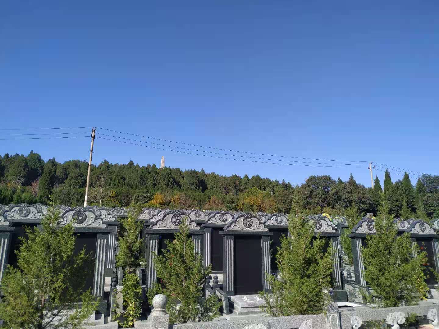 个人意愿和需求相关的材料
