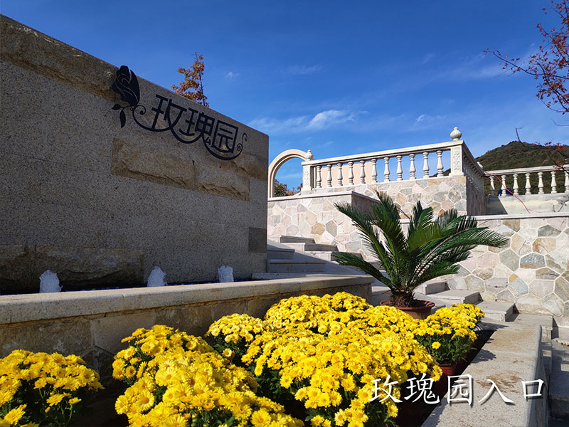 泰山长安人文纪念园玫瑰园