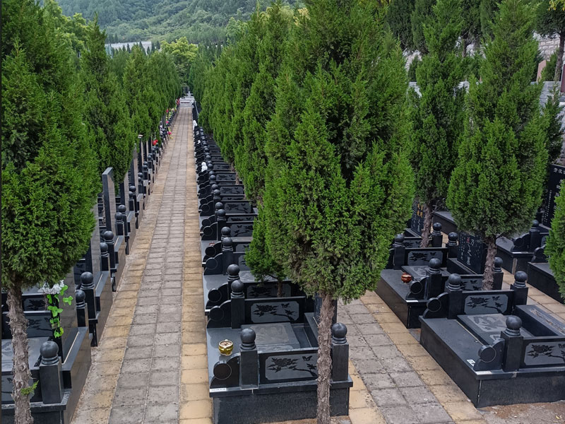 维护墓地