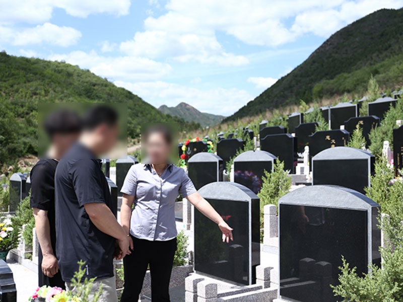 墓地购买现场