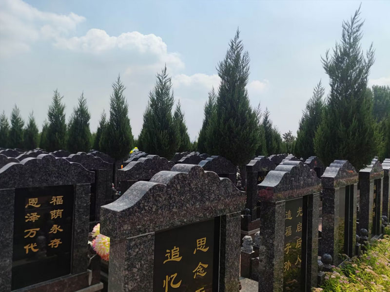 公墓日常维护的了解