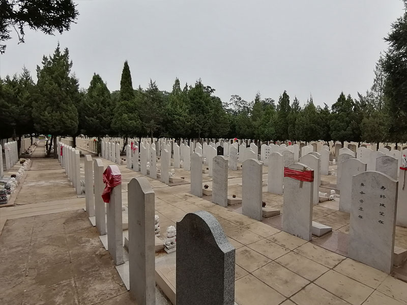不同墓地的差异