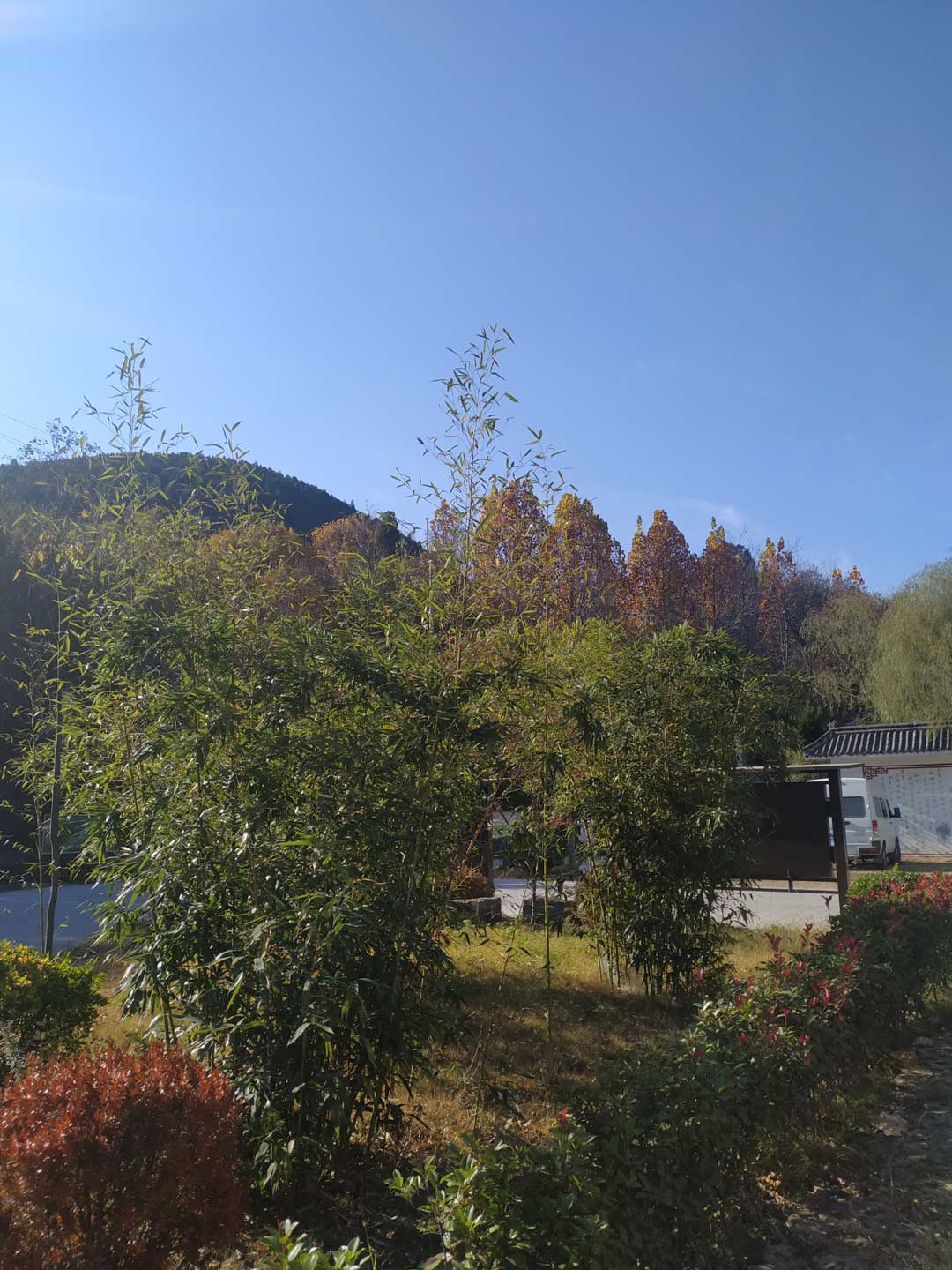 福舜园公墓