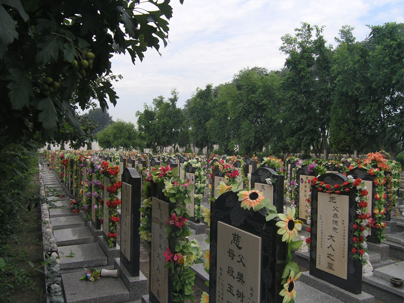 选择适宜的墓地