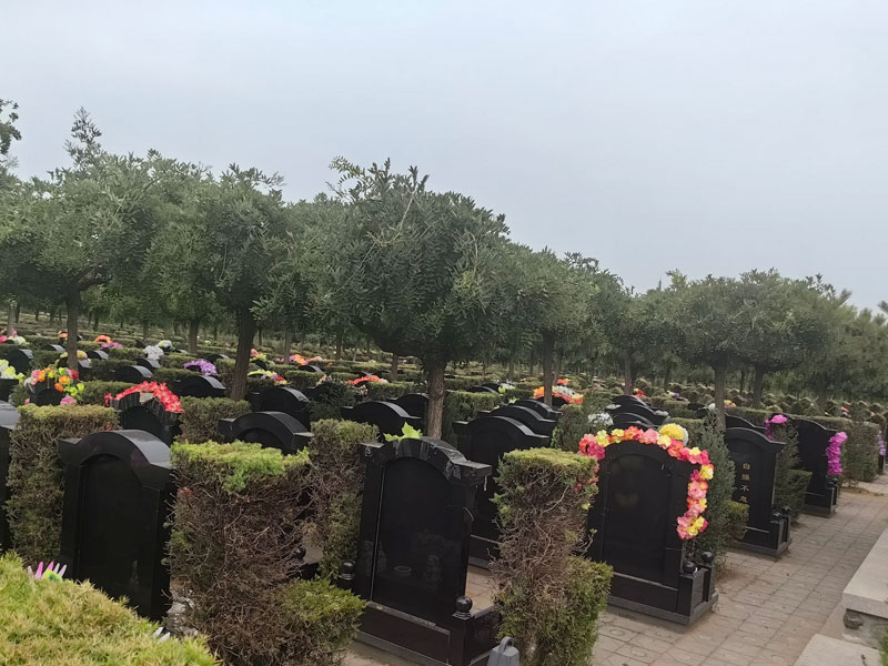 济南公墓的价格