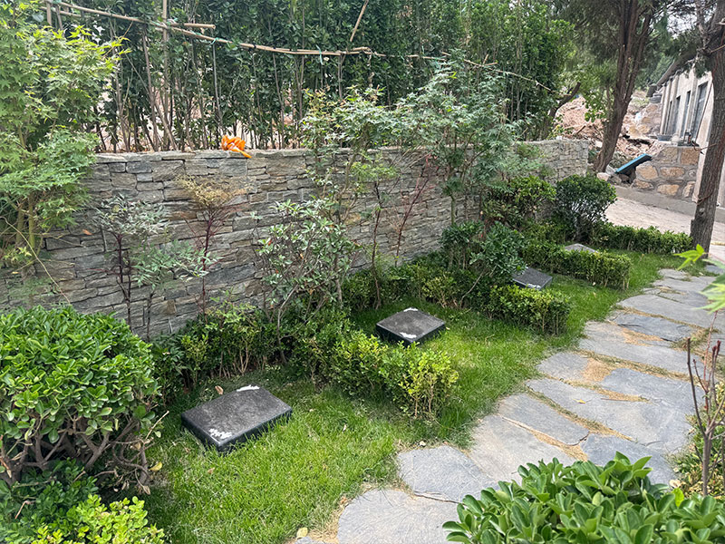 多子山公墓树葬
