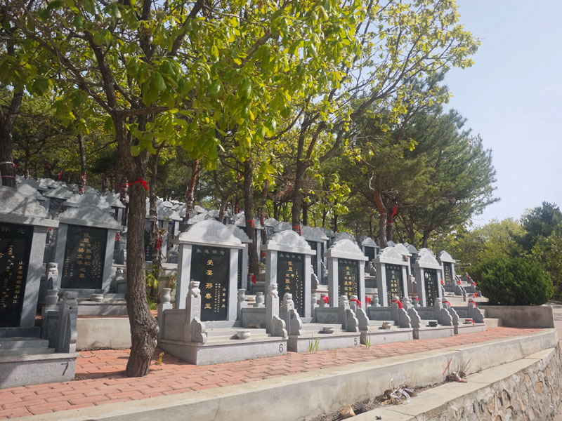 提前规划墓地 提前规划墓地