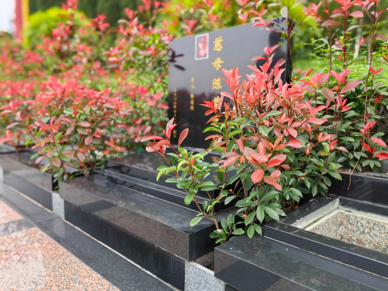 济南买墓地外地户籍能否购买 济南买墓地外地户籍能否购买