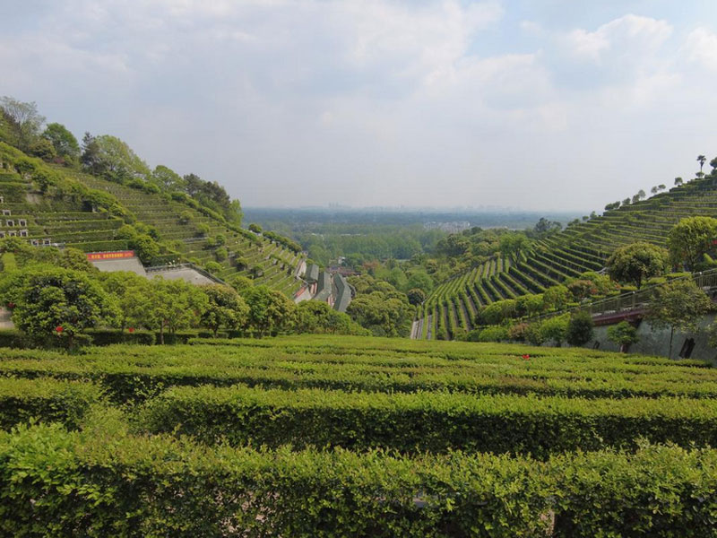 济南地区迁坟流程详解