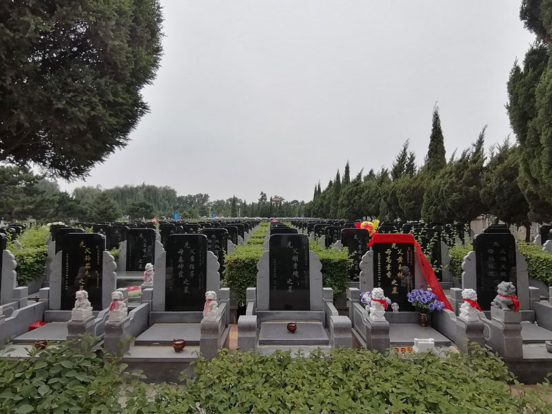 墓地使用年限 墓地使用年限