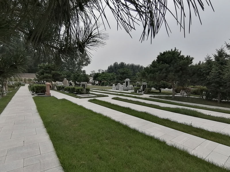 各类墓地的使用权期限特征 各类墓地的使用权期限特征