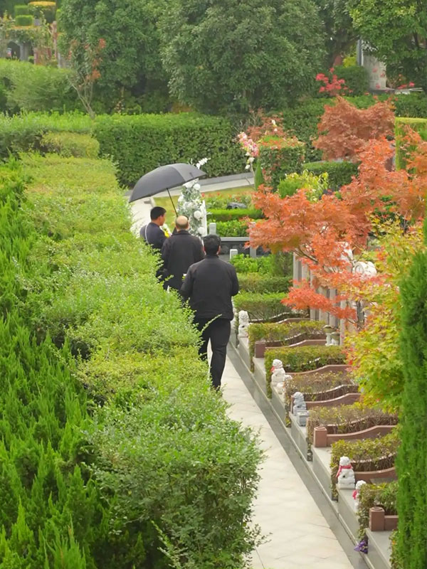 现代落葬的标准化流程与风俗细节