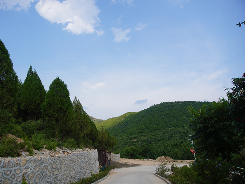 济南官山陵园 济南官山陵园