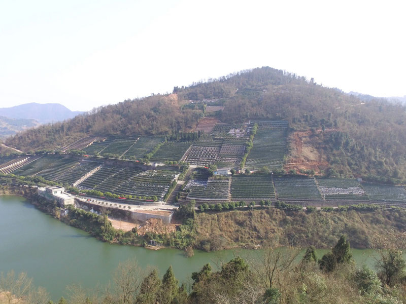 公墓“背山面水”