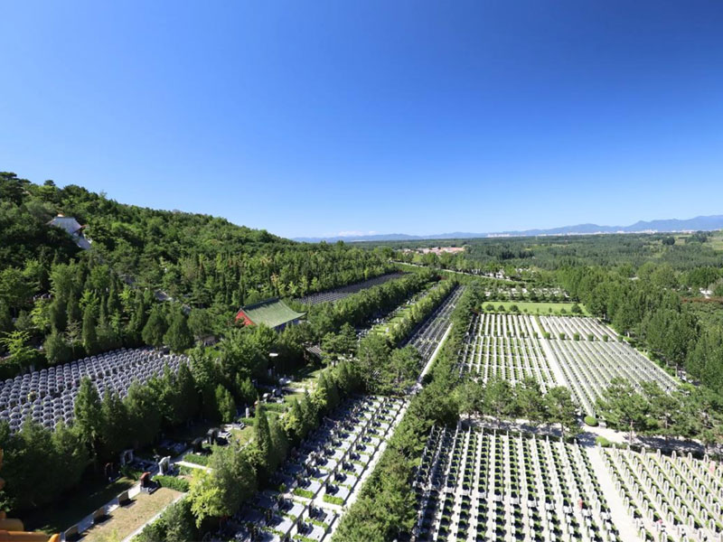 提前规划身后事