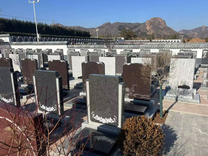 公墓缴纳管理费