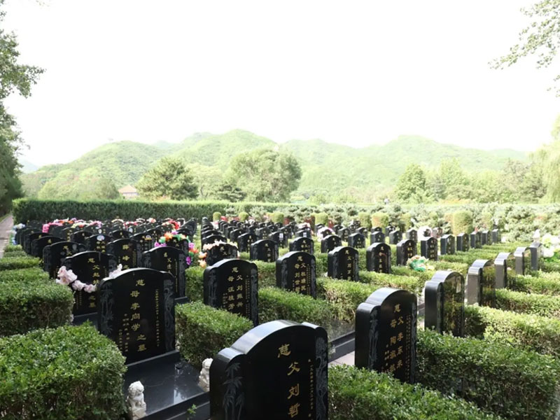 碑文与落款规范