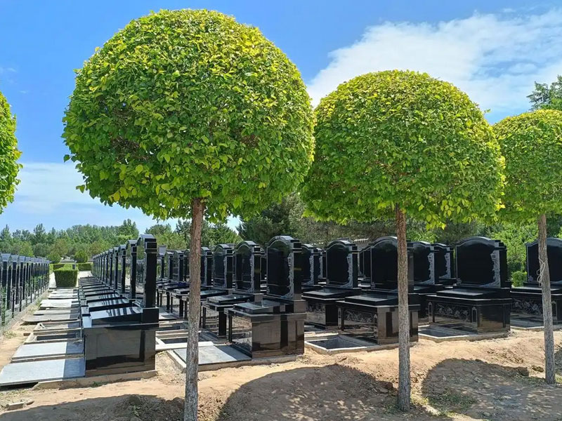 墓地产权多少年 墓地产权多少年