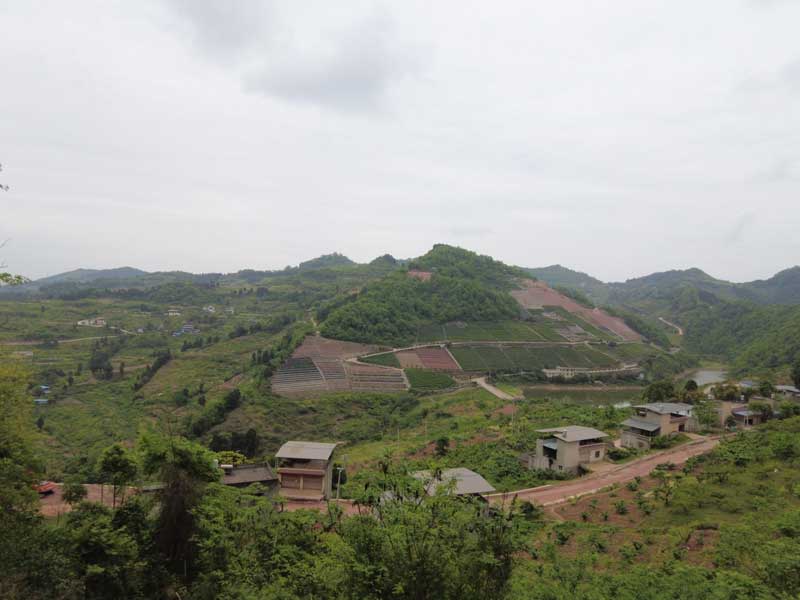 新墓地安葬 新墓地安葬