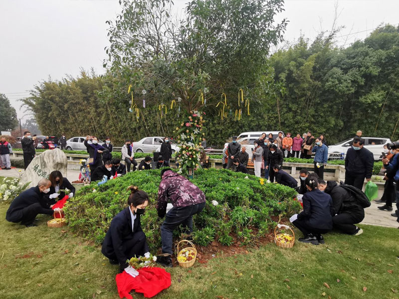 生态树葬 生态树葬