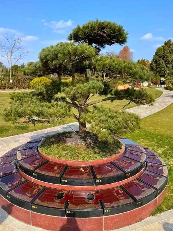 现代树葬的优点 现代树葬的优点