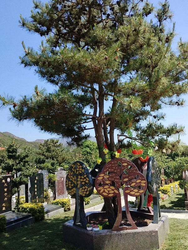 现代树葬的优点 现代树葬的优点