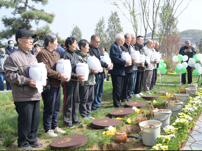 生态葬办理所需文件