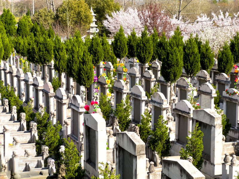 地理环境特征 地理环境特征