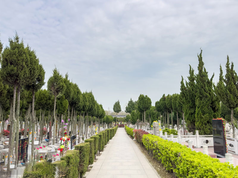 选购注意事项 选购注意事项