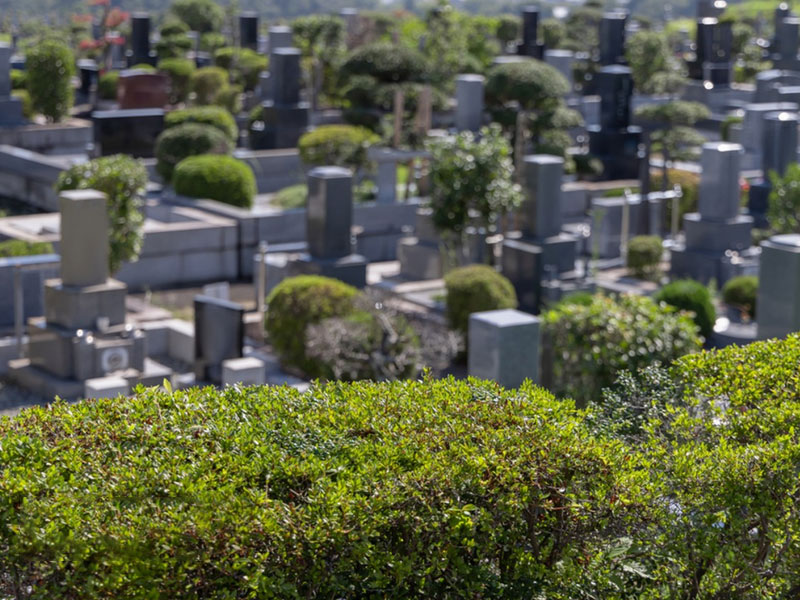如何确保选择墓地的合法性