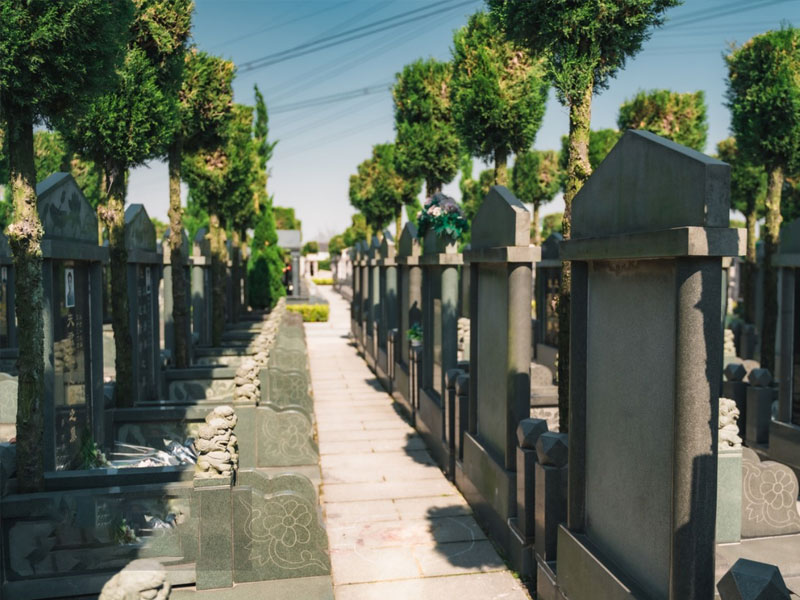 如何确保选择墓地的合法性